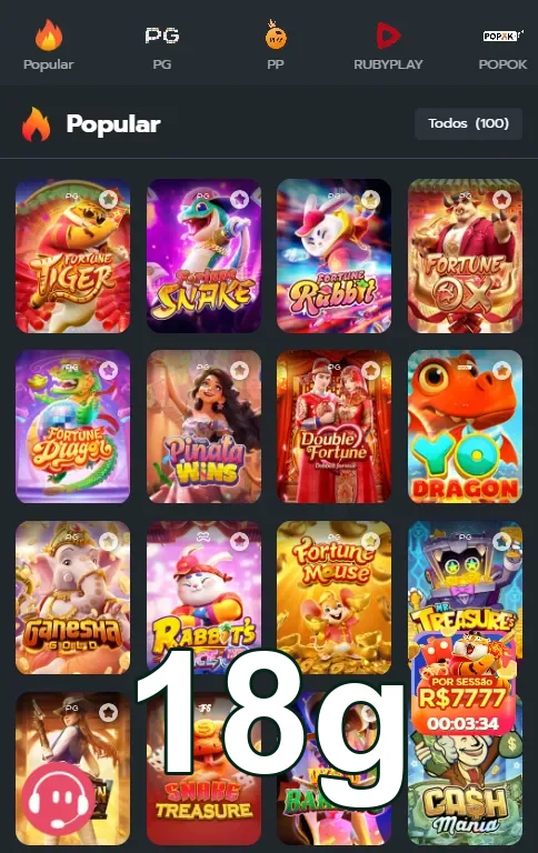 Suporte Dedicado em Português para Você - 18g